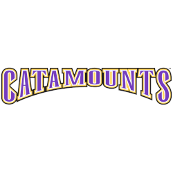 Western Carolina Catamounts Wordmark Logo 2003 - 2008